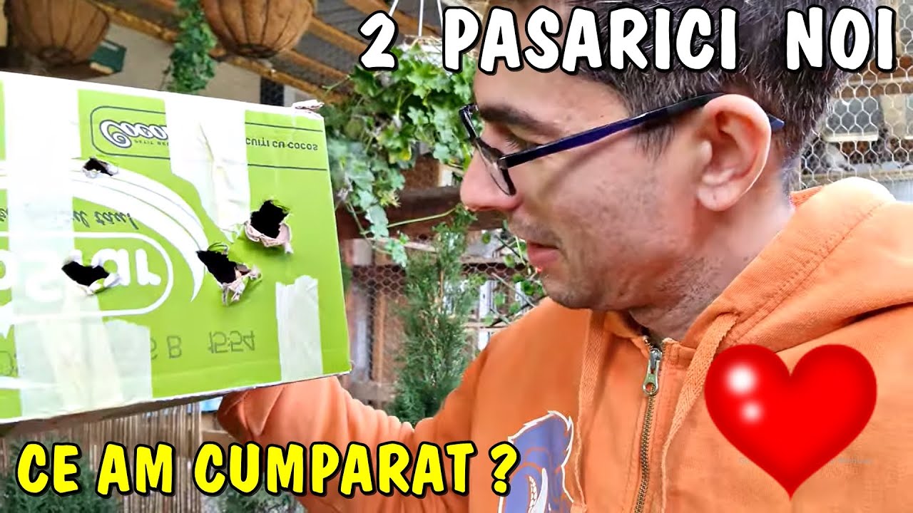 Viața la țară - Am cumpărat 2 păsărici NOI în voliera cu exotice ❤🕊
