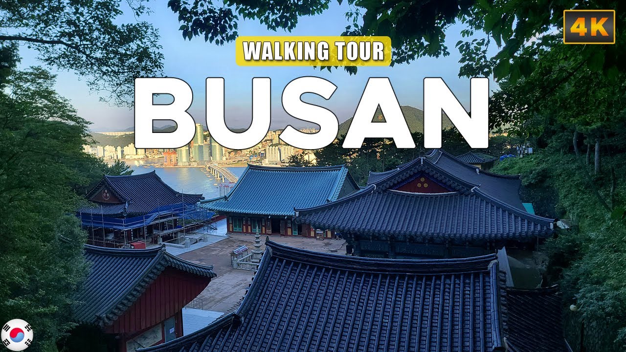 Busan KOREA - Walking in Yeongdo Island, Leisurely Seaside Village Alley Tour