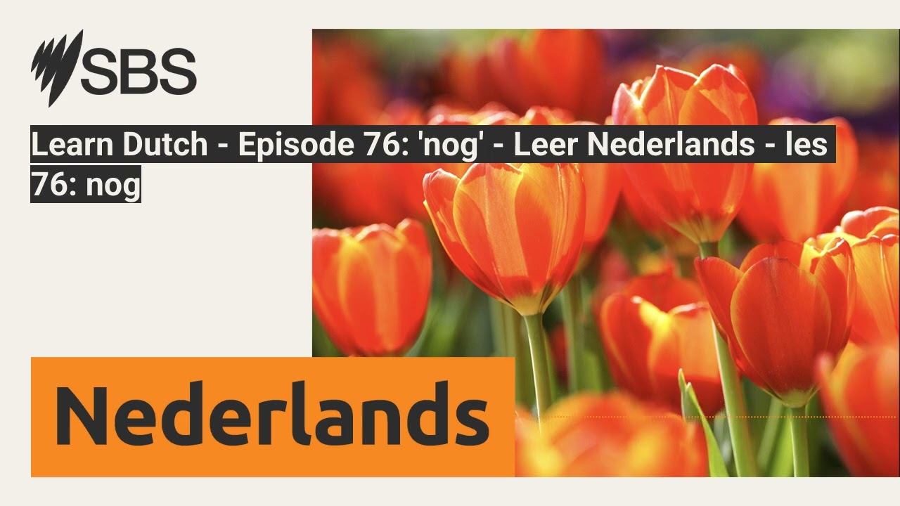 Learn Dutch - Episode 76: 'nog' - Leer Nederlands - les 76: nog | SBS Dutch - SBS Nederlands