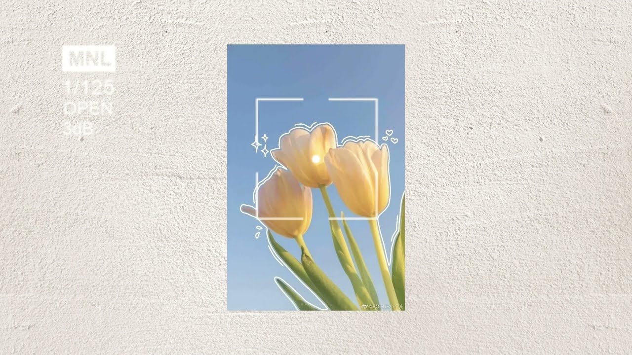 Vinahouse Type Beat 