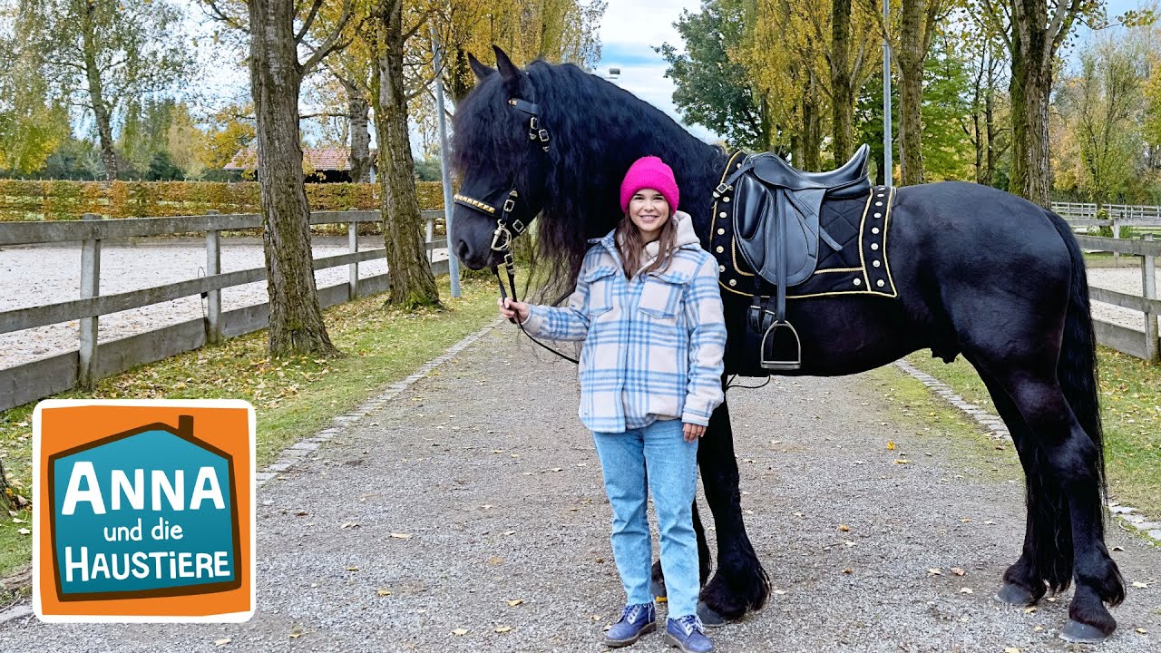 Friese | Information für Kinder | Anna und die Haustiere