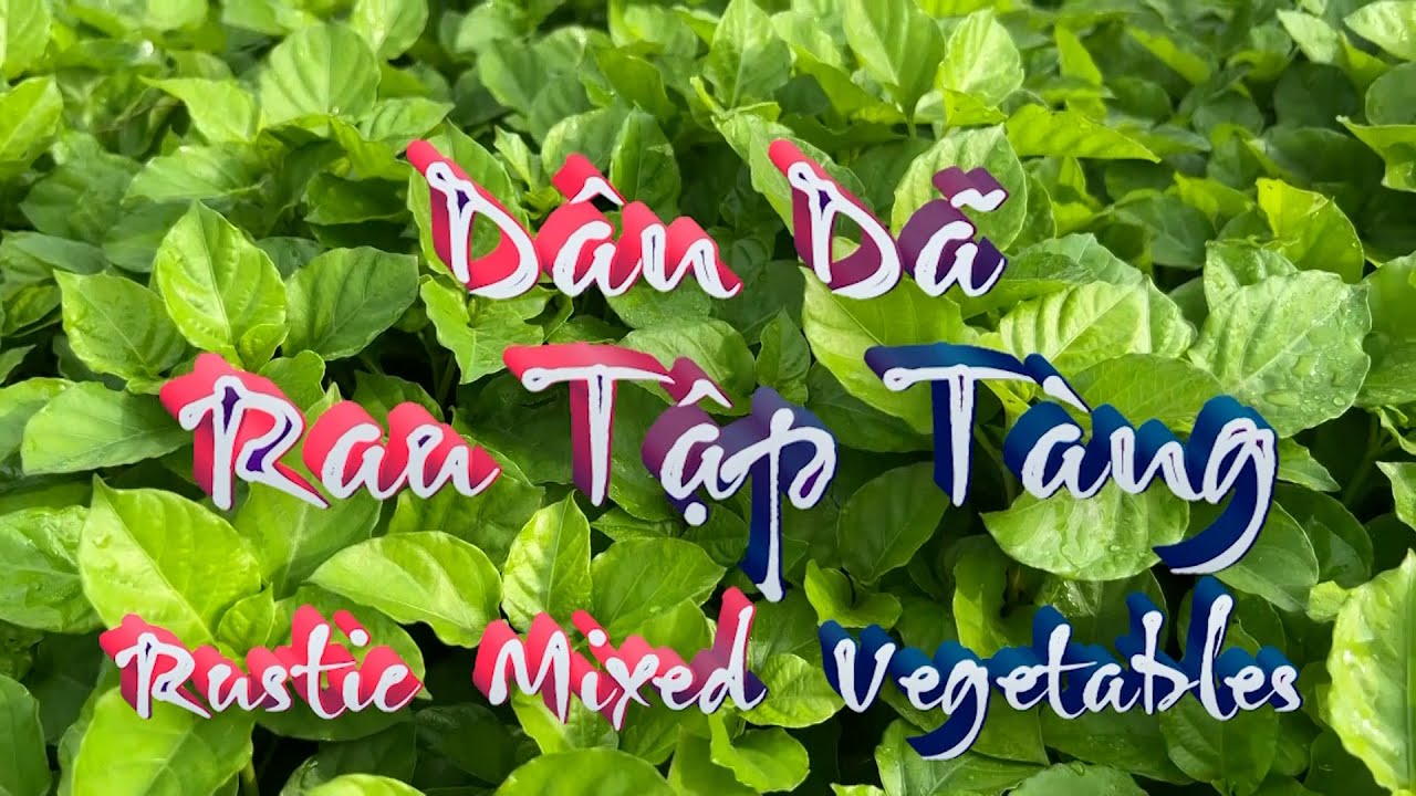 KÝ ỨC MIỀN QUÊ | DÂN DÃ RAU TẬP TÀNG | THKG