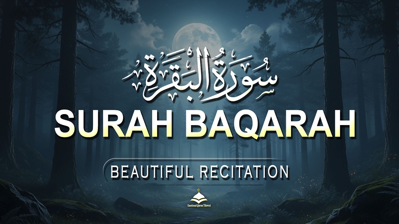Surah Al-Baqarah سورة البقره | Powerful Quran Tilawat for Protection & Blessings in Home | Alaa Aqel