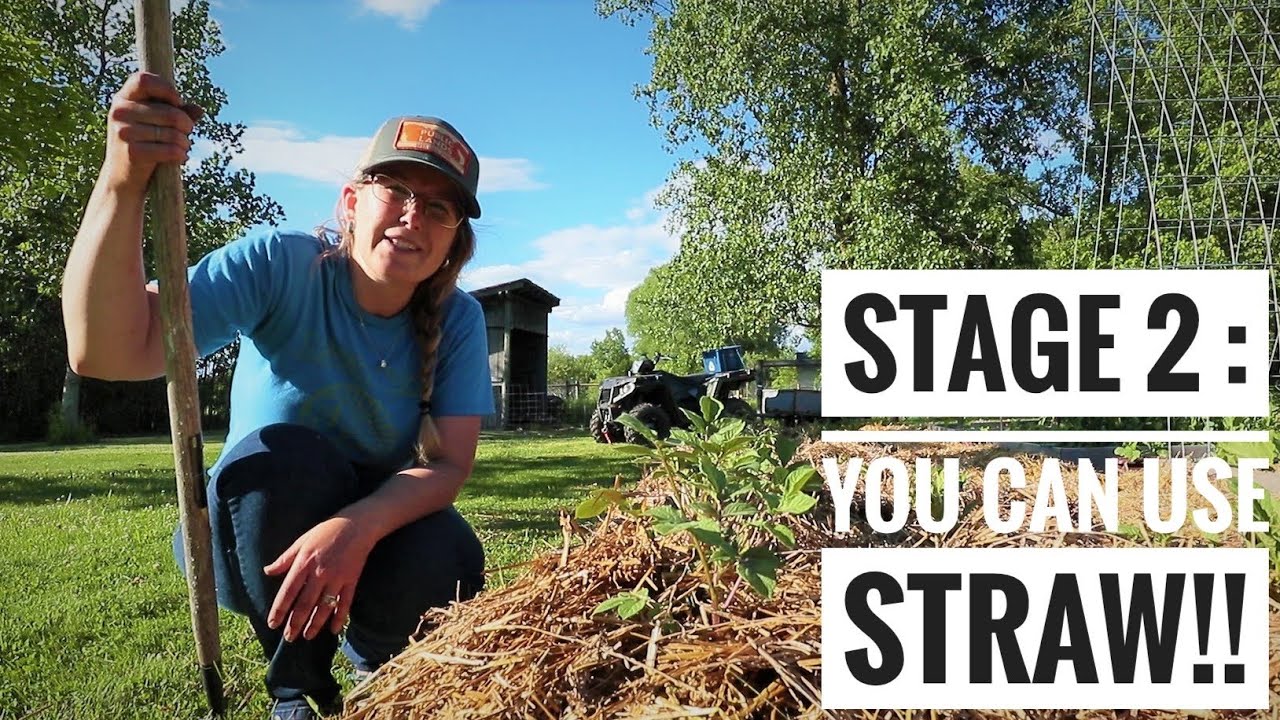 Ruth Stout - Deep Mulch Gardening Experiment - Part 2