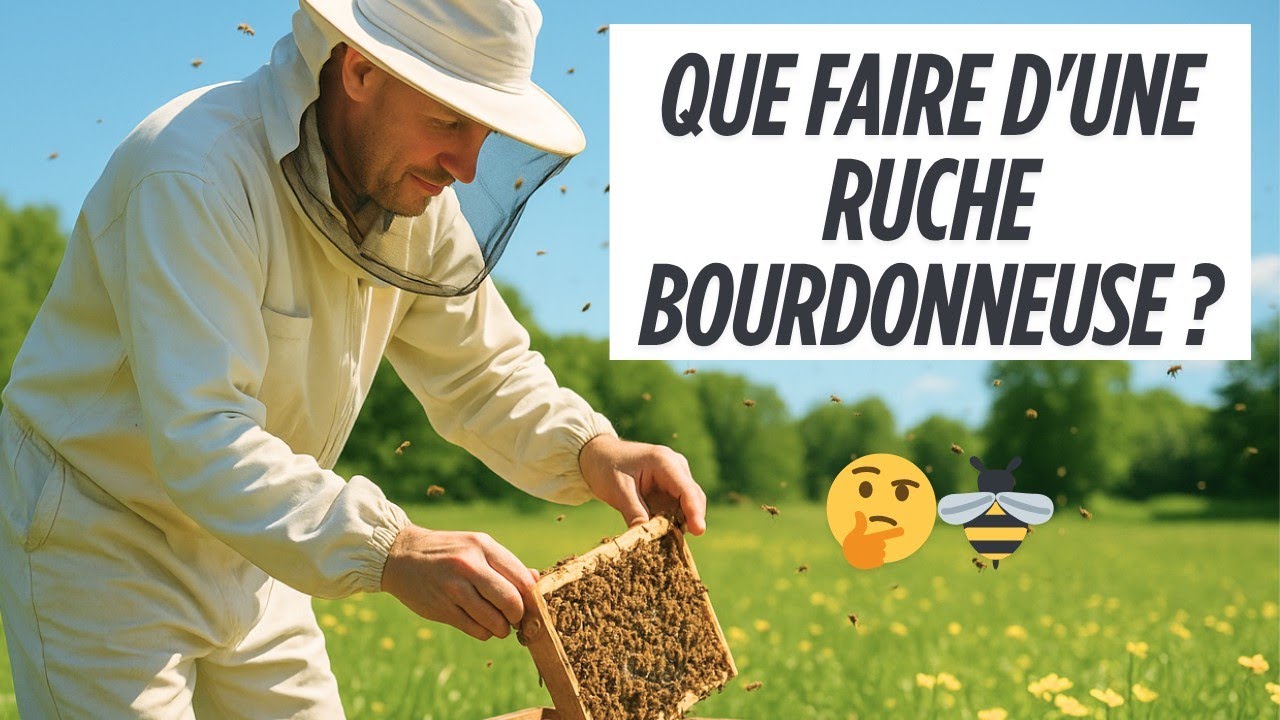 RUCHE BOURDONNEUSE : Pourquoi la secouer à 3 km change TOUT ?