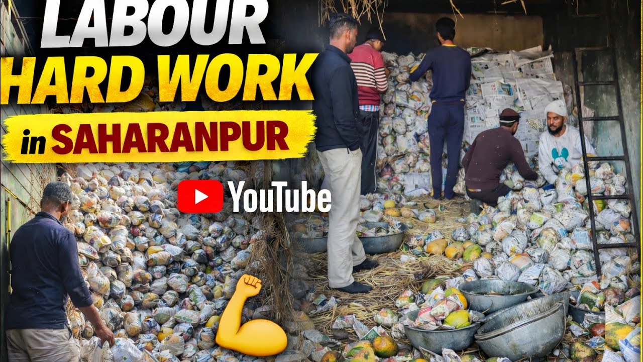 “Papita Wholesale Market Saharanpur 🍈 | Majdooron Ki Hard Work | Mandi Vlog”
