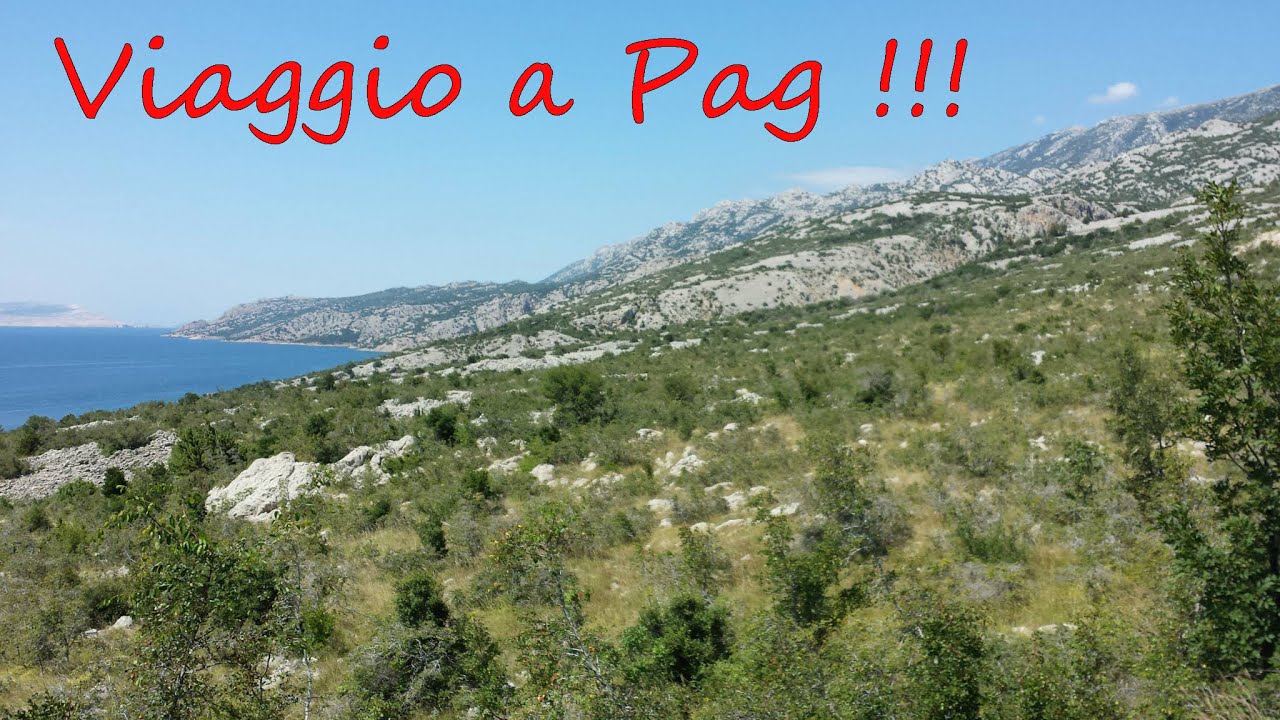 Momento LIVE | Vacanza | Viaggio Isola Di Pag