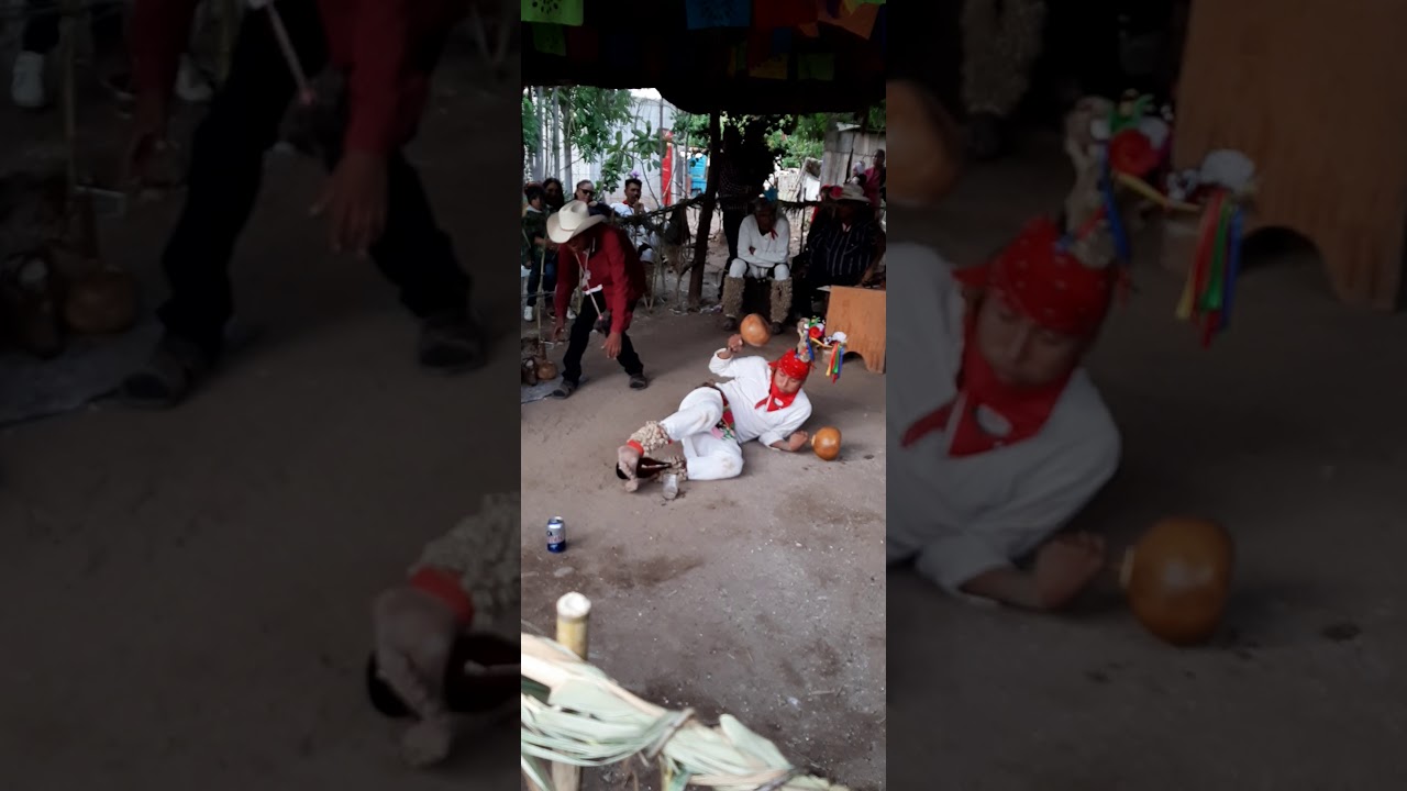 Venado Bailando en el CIELO  (fiesta Pascola y Venado) Etnia Mayo