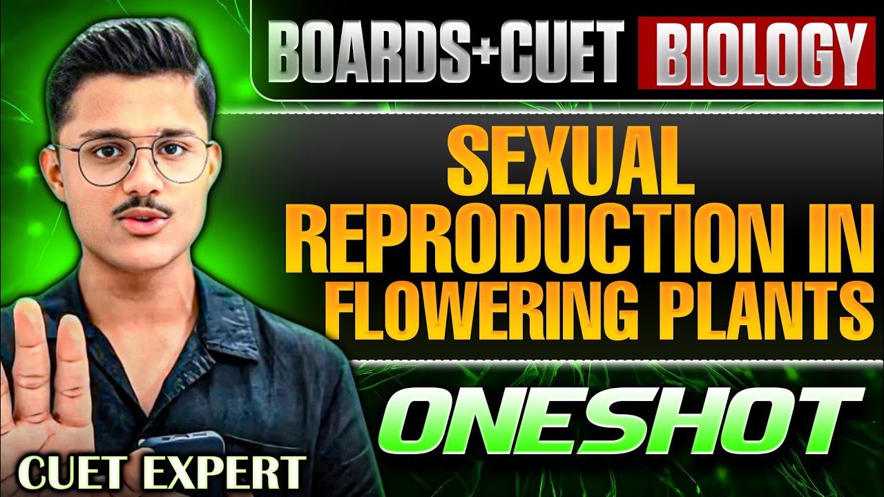Boards + Cuet 2026 Biology | Sexual Reproduction In Flowering Plants Full Chapter One Shot Revision!