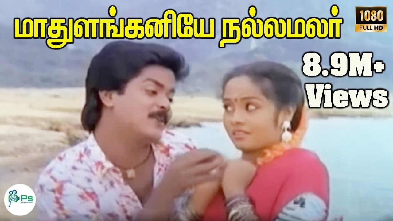 மாதுளங்கனியேநல்லமலர் | Madhulanganiye Naala | Ilaiyaraaja , S Janaki Love Duet HD Video Song