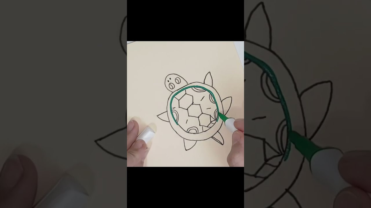 Beautiful Turtle coloring 