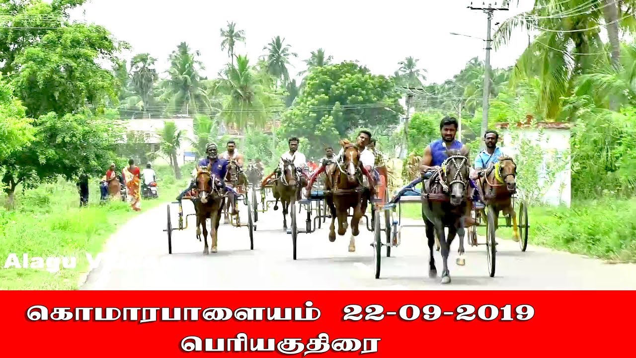 பெரிய குதிரை, கொமாரபாளையம் ரேக்ளா பந்தயம் 22-09-2019,Komarapalayam Rekla Race