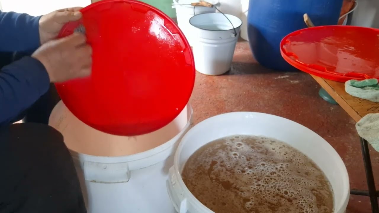 832.Pregatesc tratamentul antiviral.