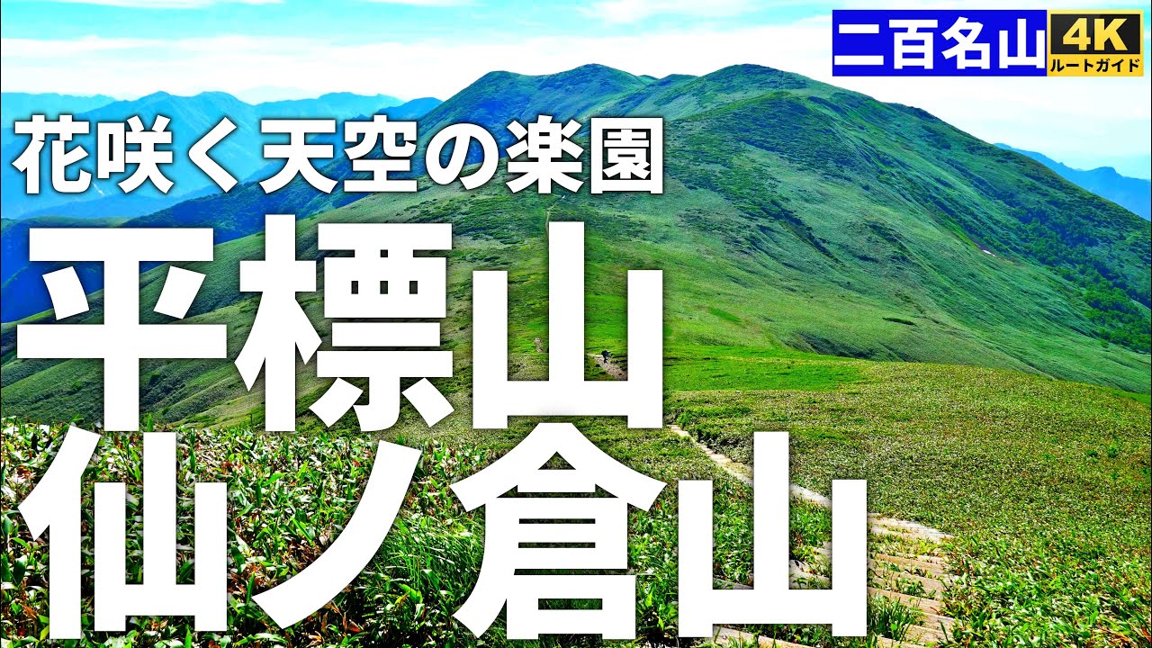 【徹底解説】平標山・仙ノ倉山 ～花咲く天空の楽園を歩く～【松手山コース・平元新道コース周回】Course Guide of Mt.Tairappyo & Sennokura.