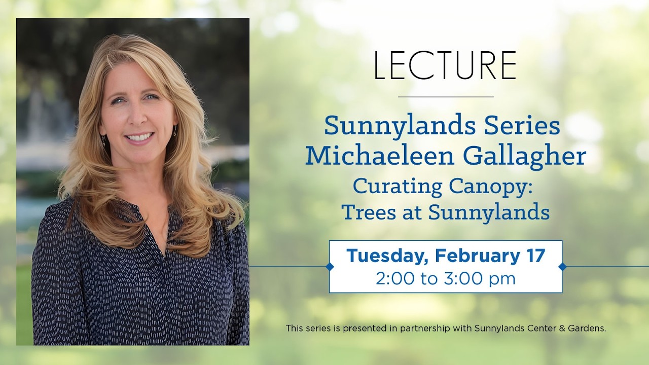Curating Canopy: Trees at Sunnylands