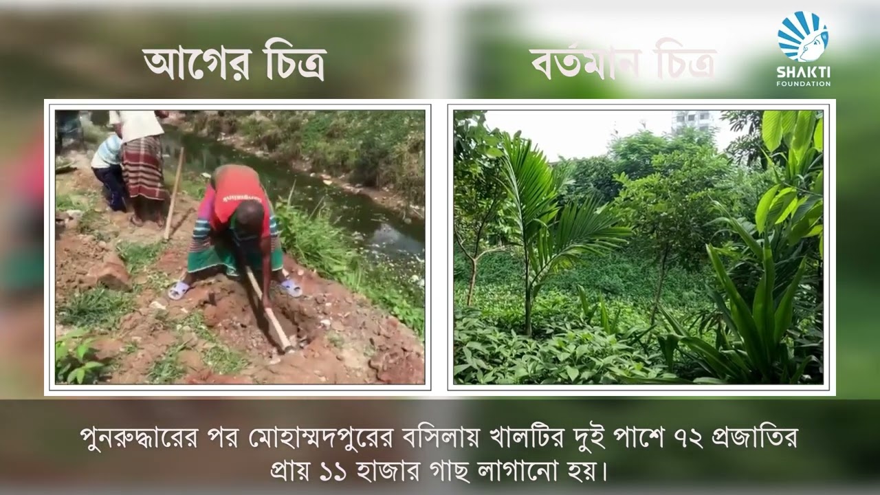 হারিয়ে যাওয়া লাউতলা খাল এখন দেশর প্রথম  শহুরে বন |  Man Made Urban Forest | Lautola