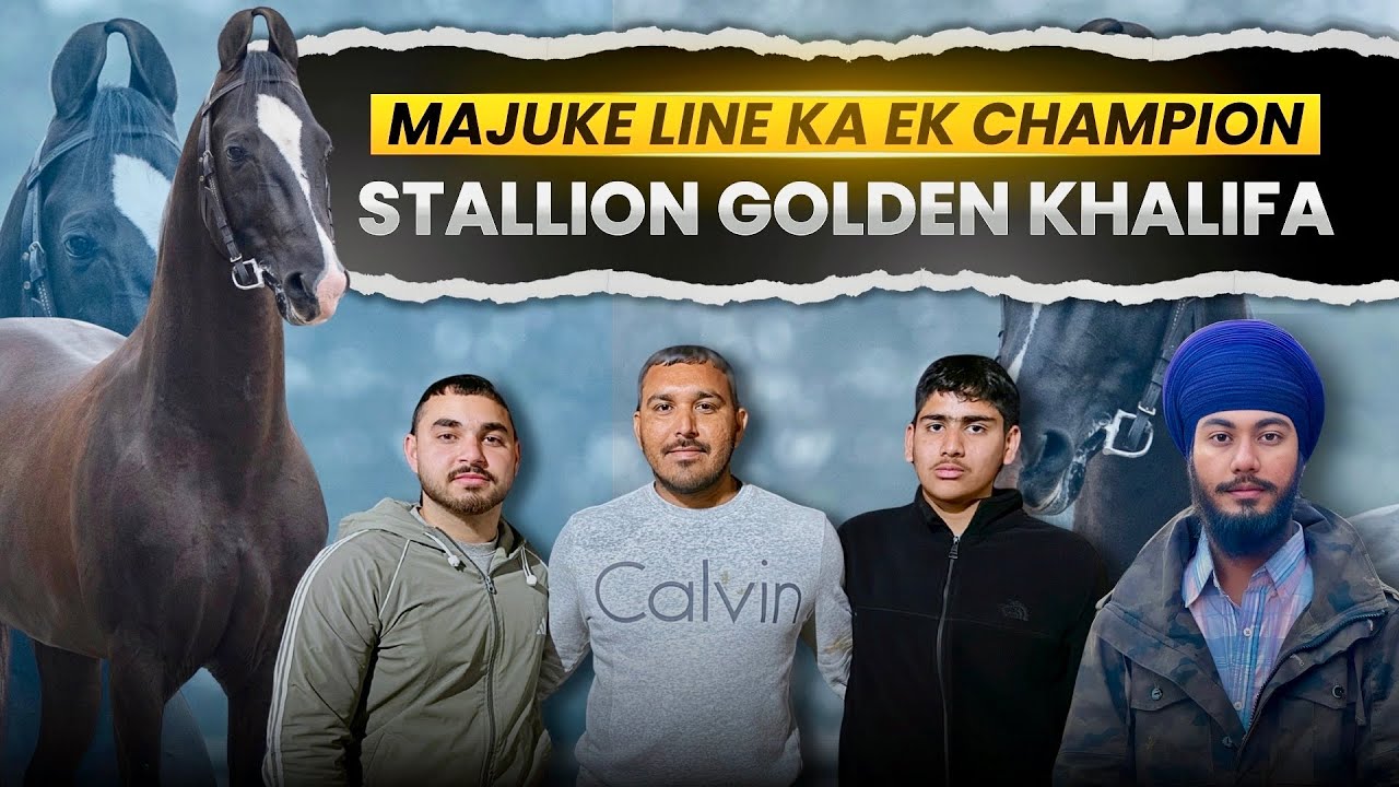BHOT ASHE ASHE HORSES SELL KE LIYE BHI HAI🐎❤️ || GOLDEN STUD FARM || MAJUKE LINE || FARM TOUR