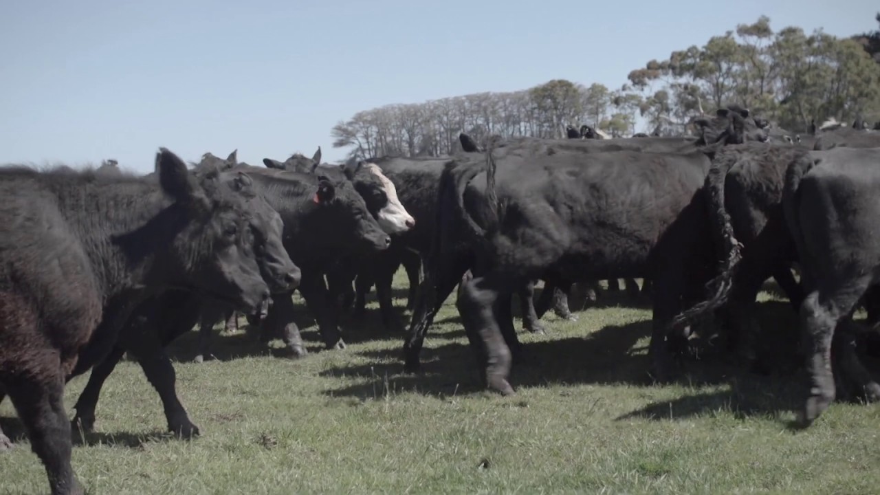 Growth Farms Australia - Investing in Quality Agriculture