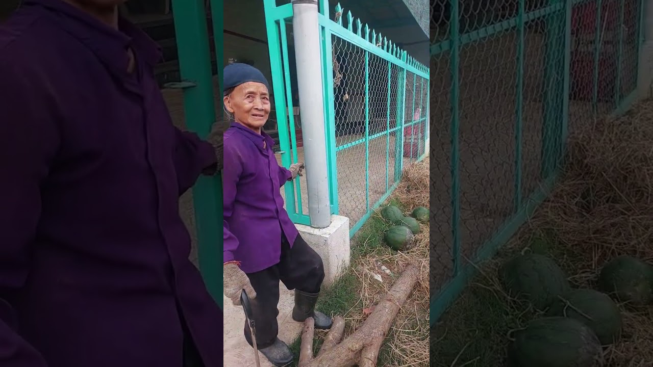 Bà lão và câu chuyện quá nét p1