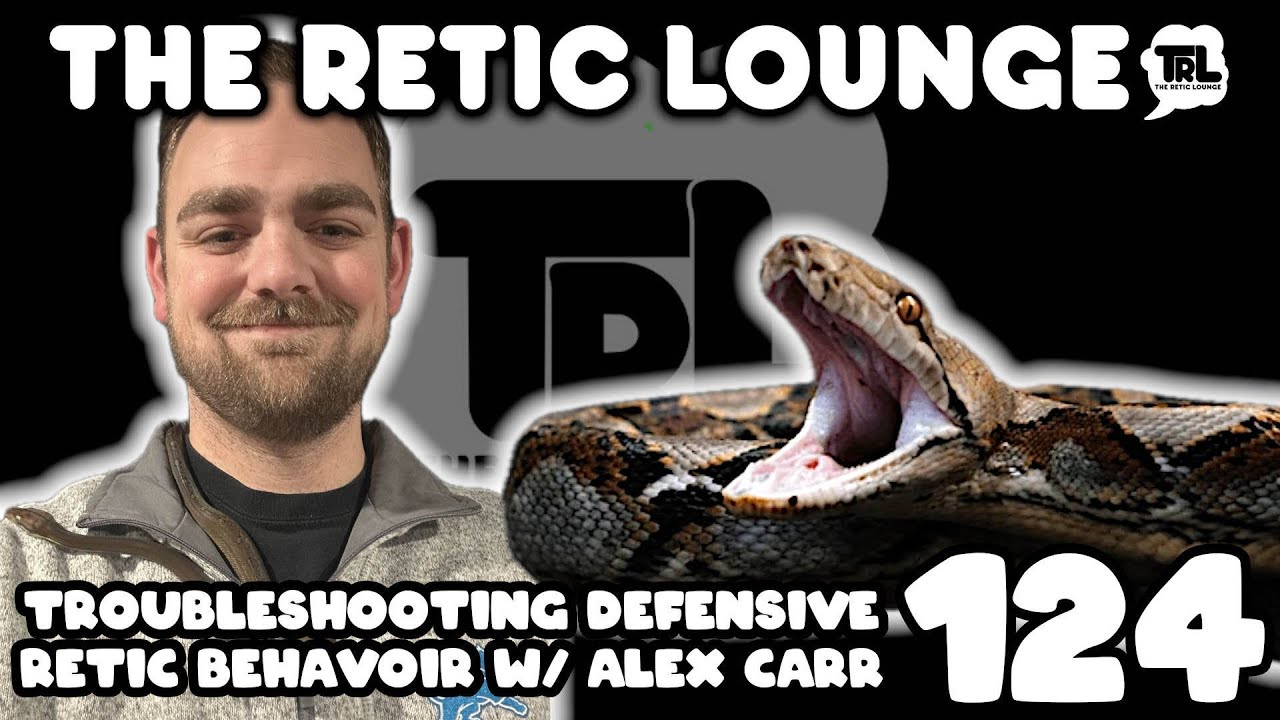 How To Tame My Defensive Reticulated Python | with Alex Carr | The Retic Lounge #124