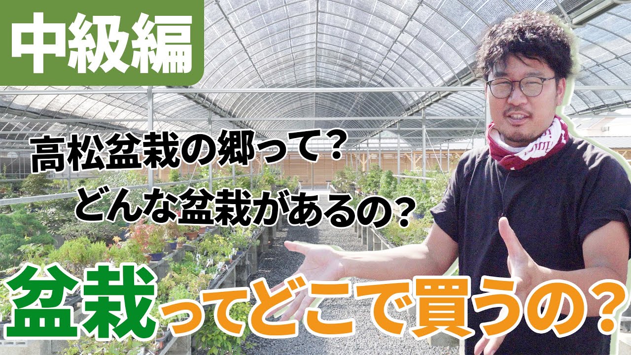 【実店舗で購入！】盆栽ってどこで買うの？（中級編）