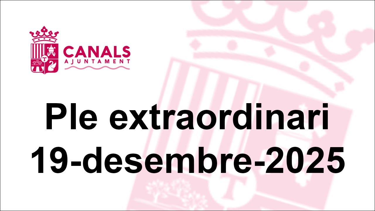 Ple Extraordinari del 19 de desembre de 2025