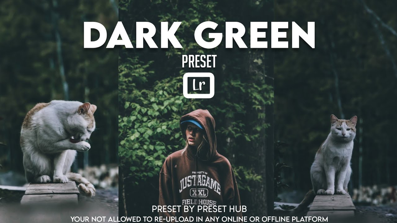 Moody dark green | Lightroom Malayalam | Lightroom presets