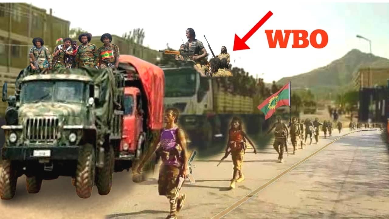 Moha News WBO waraana kuma 3000 fixu 740 bojiu