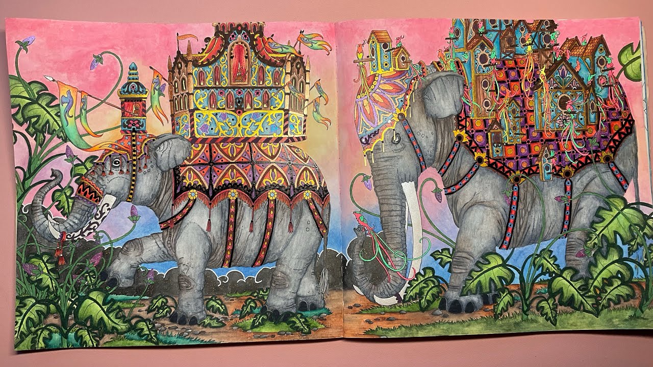 Completed pages February 2024 | Adult colouring