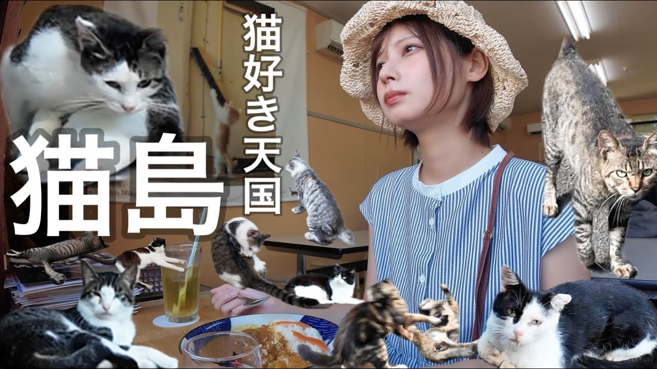 宮城県・石巻市からフェリーで1時間の猫島に潜入！島民より猫が多い！？