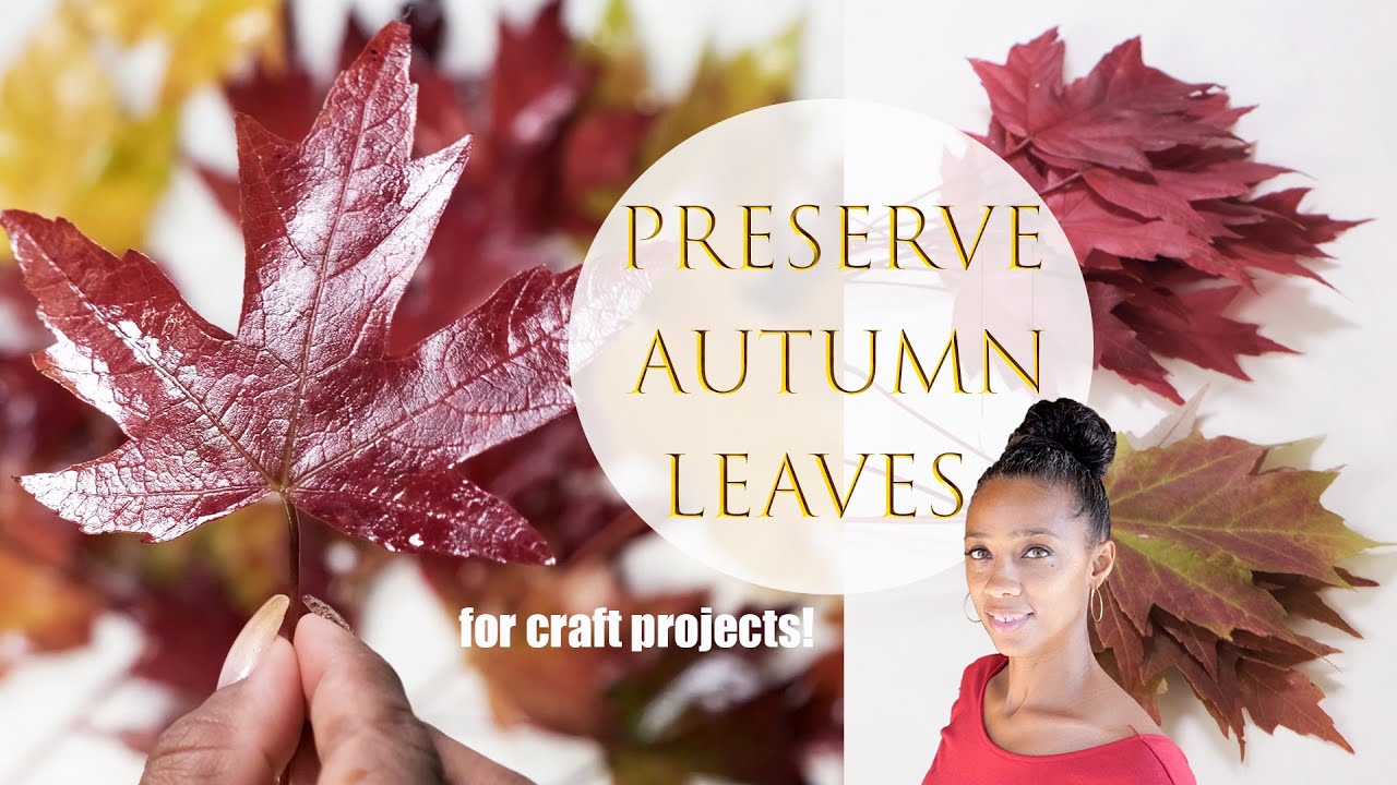 Preserve Autumn Leaves for Fall Crafts | Glycerin Preserved Leaves VS Dried|  Fall Craft Ideas