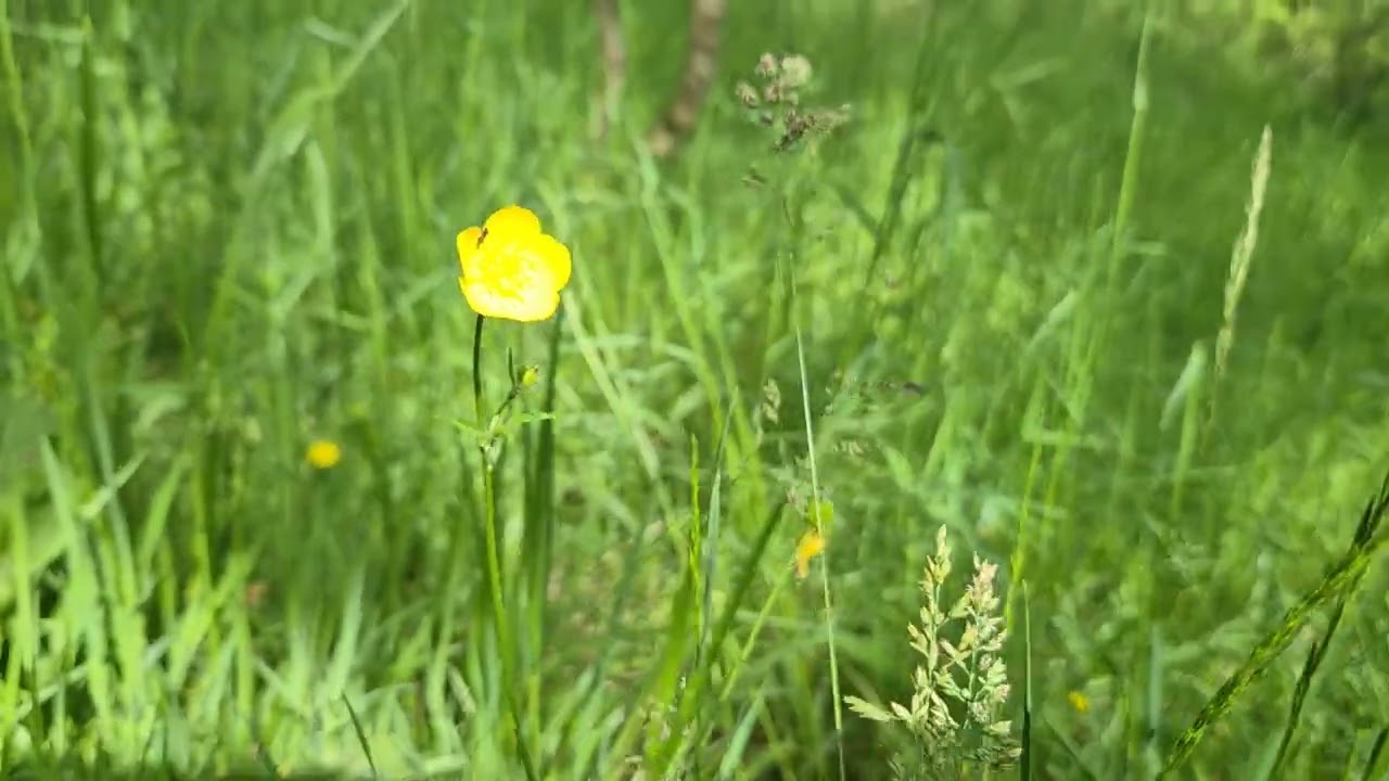 Suivre la rivière