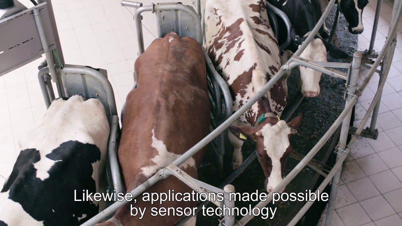 Agrotechnology from Finland – Efficient livestock solutions (with English subtitles)