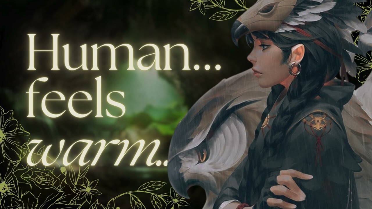 [ASMR] Taming an OWLBEAR GIRL?? [F4A] [Tsundere] [DnD] [Petting] [Cuddly]