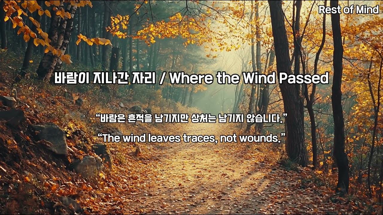 🌲 Vol.23 – 숲의 위로 (Comfort of the Forest)