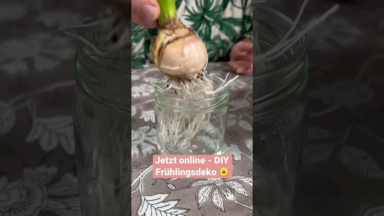 DIY - JUHU die allererste Fr&uuml;hlingsdeko 🤍🥰