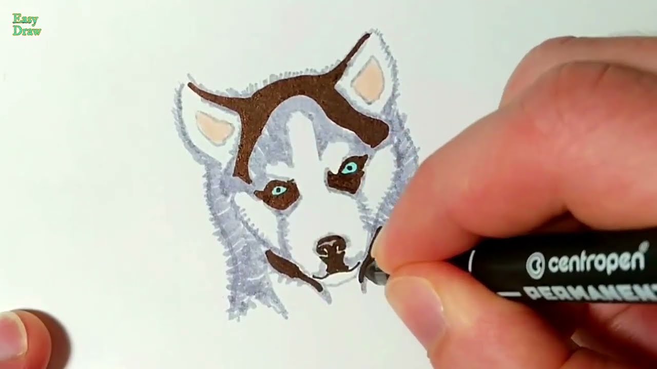 How to Draw a Husky Face