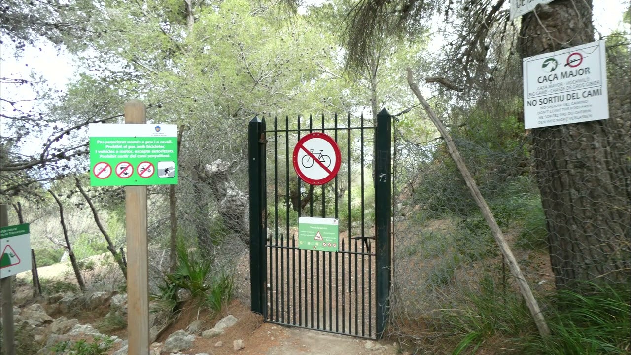 ESTELLENCS   BANYALBUFAR POR EL GR 221   03 2024