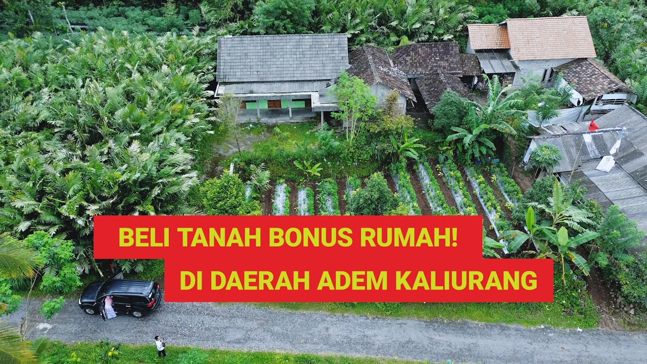 Beli Tanah Bonus Rumah! Seluas 780m² Seharga 525JT Di Pinggir Jalan Wonokerto, Turi, Kaliurang