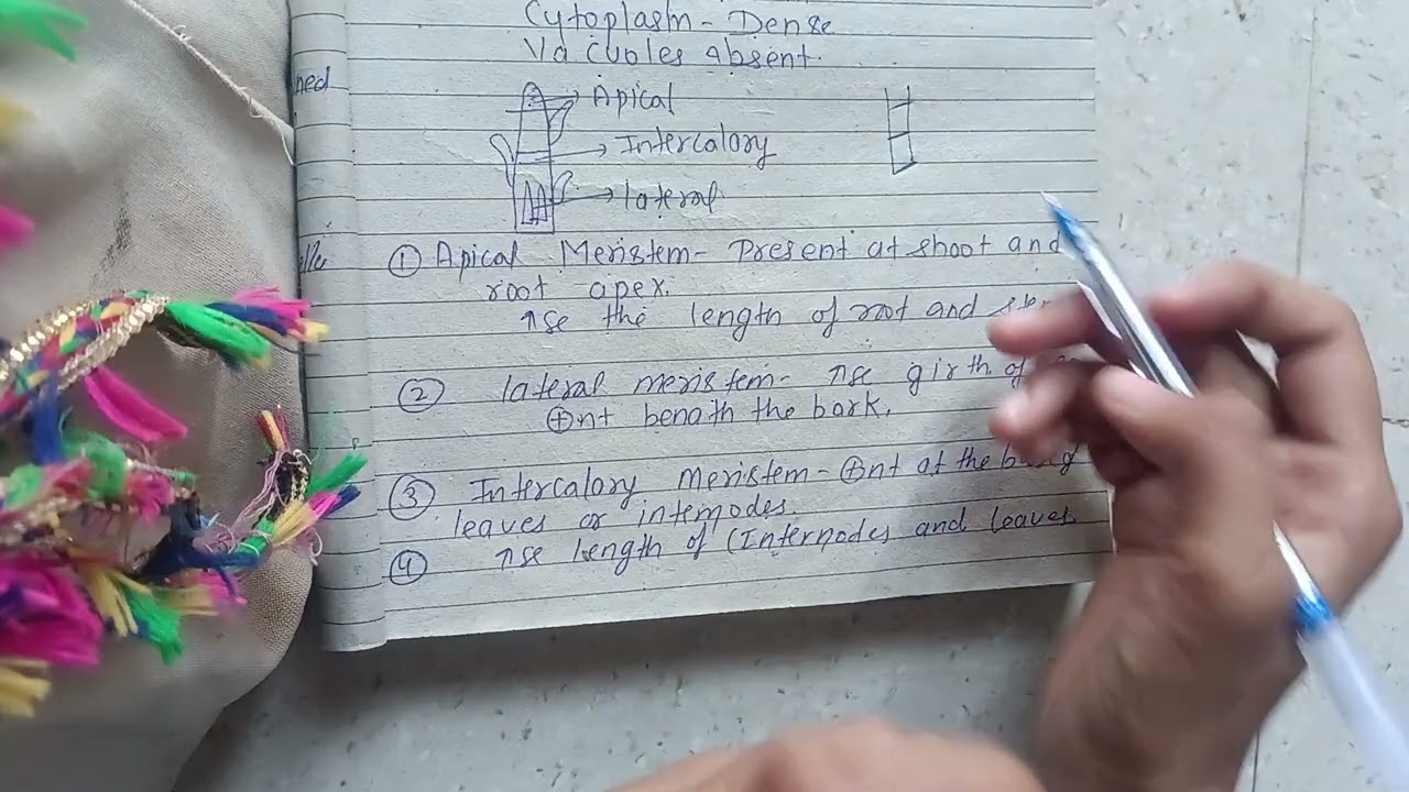 Plant tissue one shot 