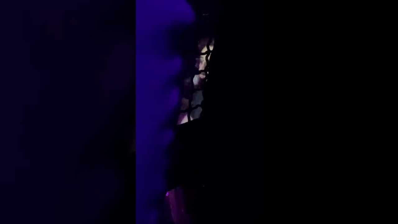 Will Wood - Cicada Days (LIVE @ Phantom Power, Millersville, PA [April 1, 2022])