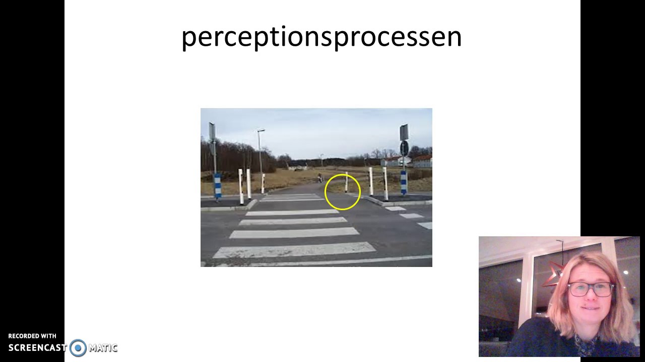 Perception del 1
