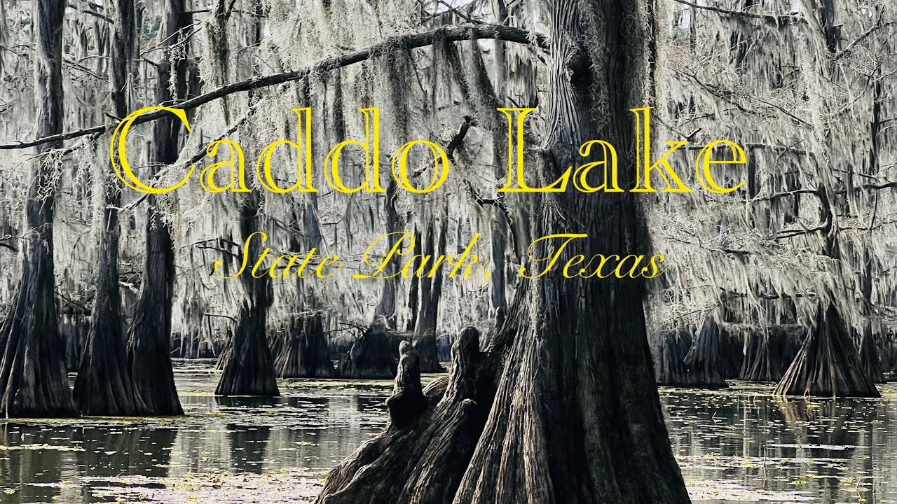 Caddo Lake State Park Canoeing 2026