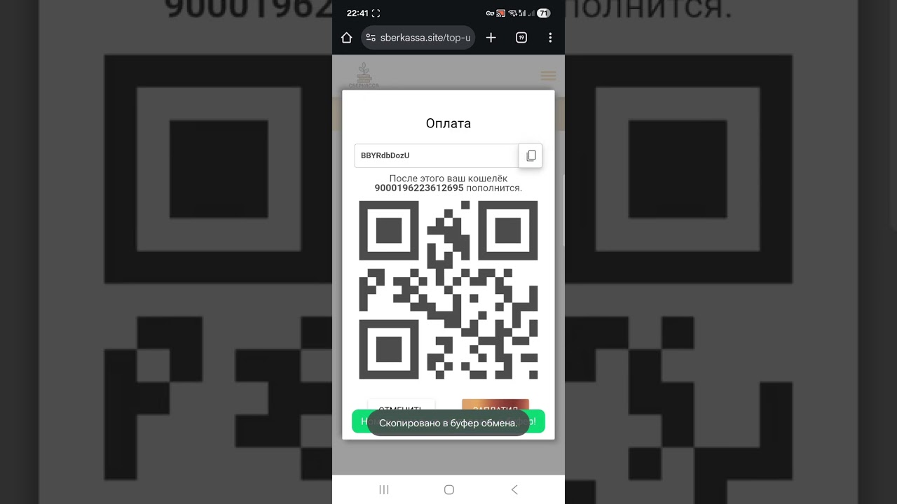 Как вывести USDT с биржи  Blackbit