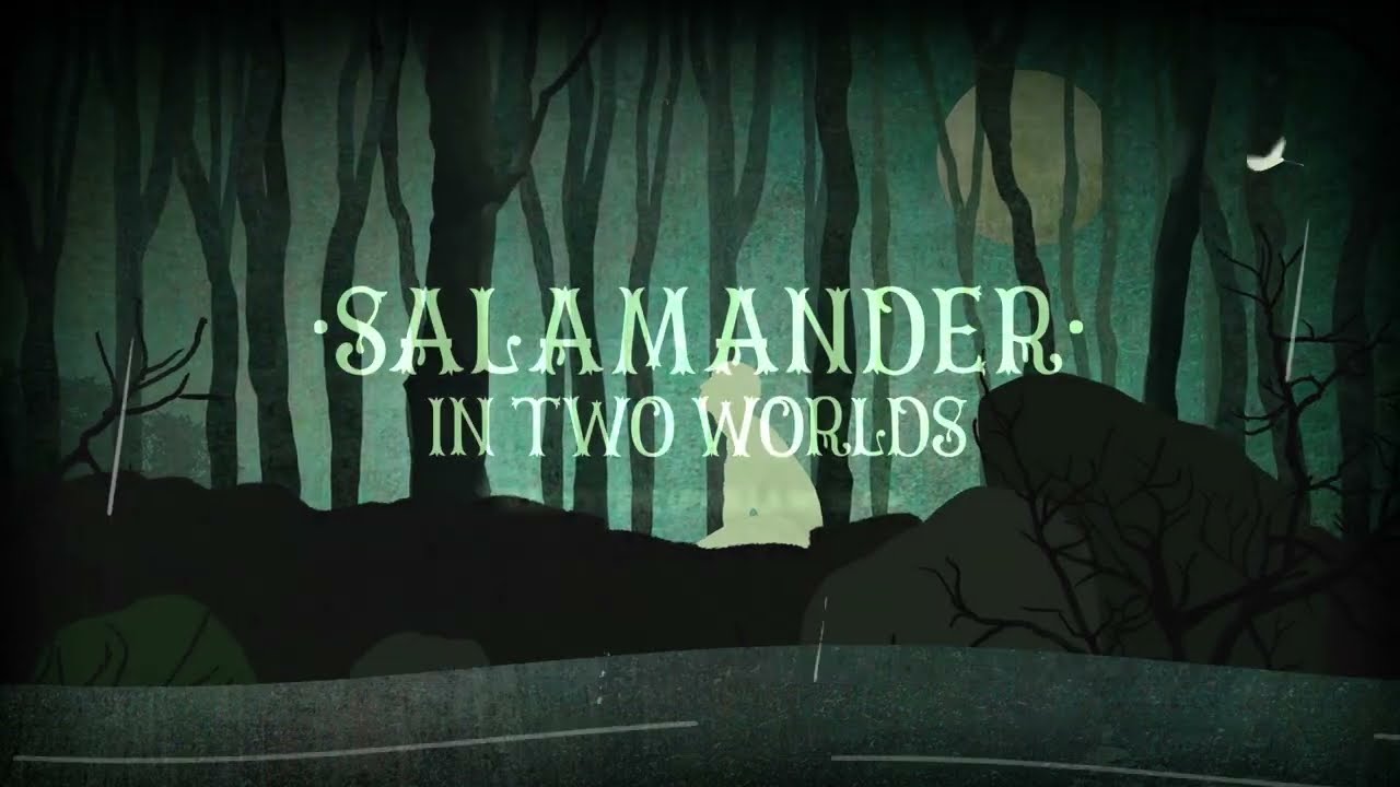 Sleepytime Gorilla Museum - Salamander in Two Worlds (Official Music Video) - Strobe Warning!