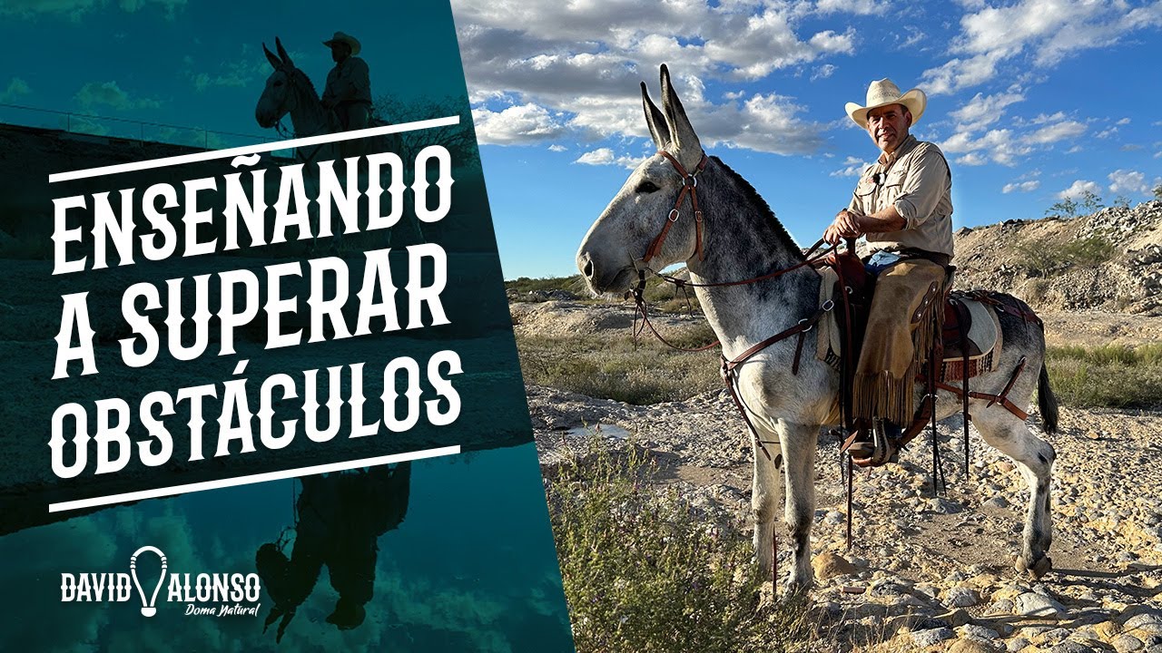Enseñando a superar obstáculos: Los charcos