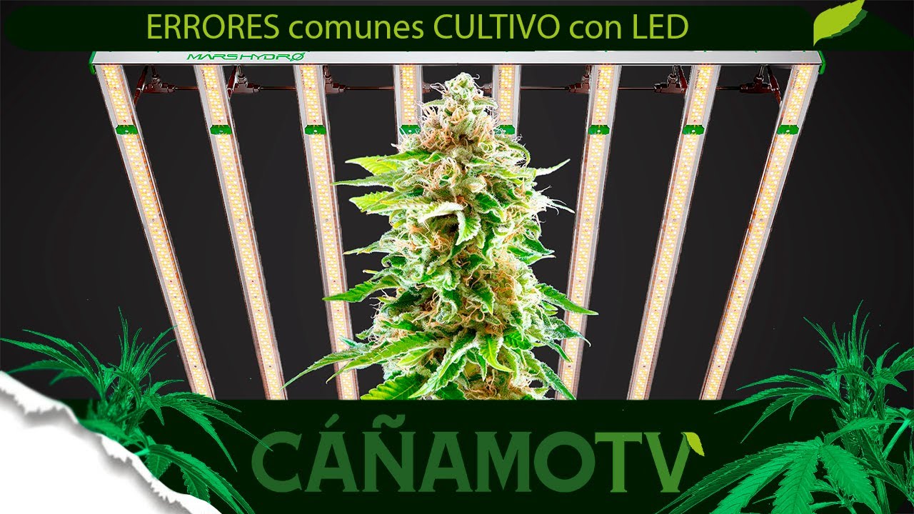 ERRORES comunes en el CULTIVO con LED 💡 Mars Hydro FC-E4800