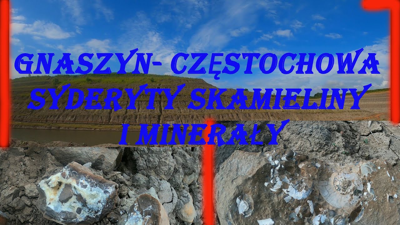 Gnaszyn- Częstochowa Syderyty Skamieliny i Minerały