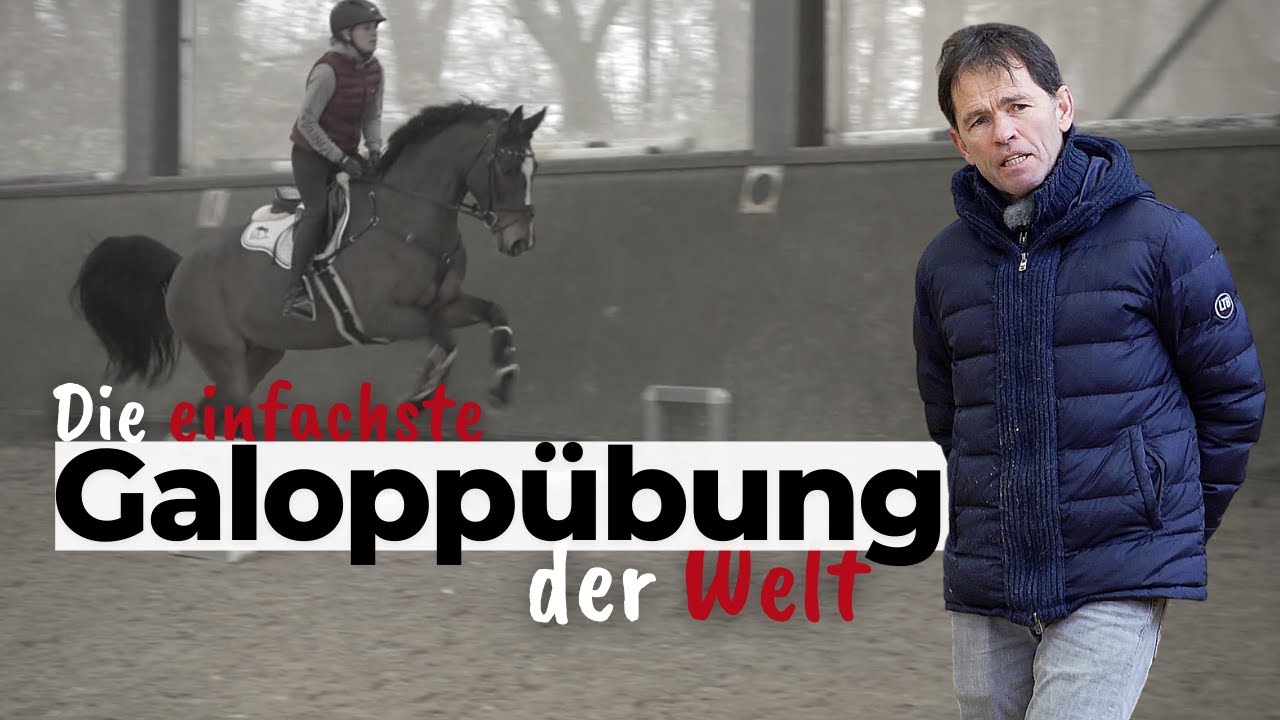 Die einfachste Galopp&uuml;bung der Welt f&uuml;r mehr&nbsp;Rhythmus & Rittigkeit 🐎