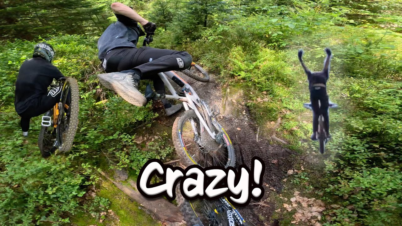 Crazy Sends and Fails im La Bresse Bikepark EDIT | Der Trailhunter | 4k